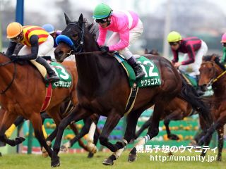 ２４日美浦で１２頭の２歳馬がゲート合格