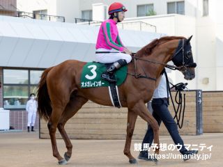 【今日の注目新馬】東京４Ｒ　レースラヴェンダーは大和田厩舎ゆかりの血統