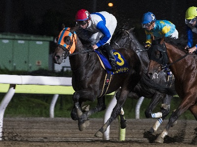 【川崎・関東オークス】スピーディキックが南関牝馬３冠を狙う（ＰＲ）