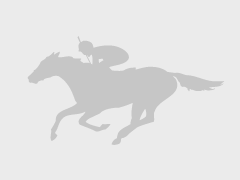 【クイーン賞（Ｊｐｎ３）（指定交流）３上牝馬オープン】（船橋）～アイアンテーラーが優勝