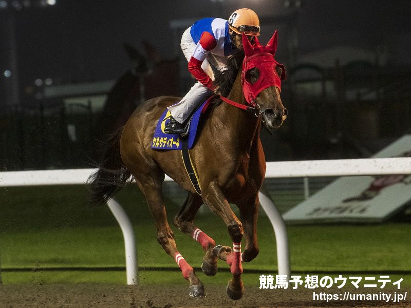 【日本テレビ盃2022予想】種牡馬として4勝を挙げるゴールドアリュール、その後継種牡馬の動向にも注目