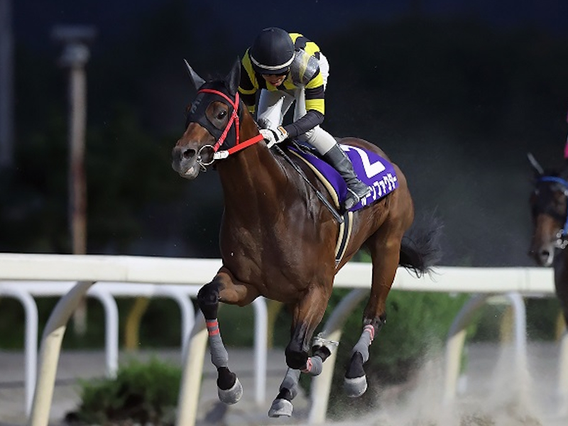 【不来方賞2024特集】レースの歴史や競走条件、歴代優勝馬は？