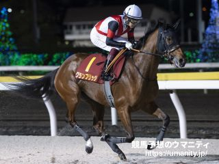 【川崎・エンプレス杯2024】出走予定馬（5/2）