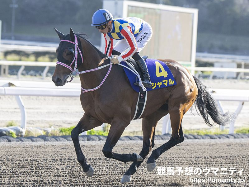 【佐賀・JBCスプリント2024】血統アナリシス　父または母の父がMr. Prospector系種牡馬を配された馬の連対が続く