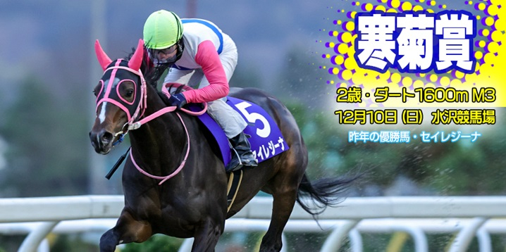 【岩手競馬重賞みどころ】第22回寒菊賞（M3）