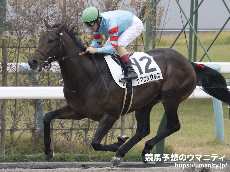 【名古屋・名古屋大賞典2024】ヤマニンウルスは3枠3番、アウトレンジは2枠2番からスタート