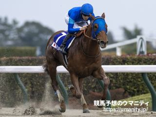 【マイルチャンピオンシップ南部杯】JRA出走予定馬（10/5）