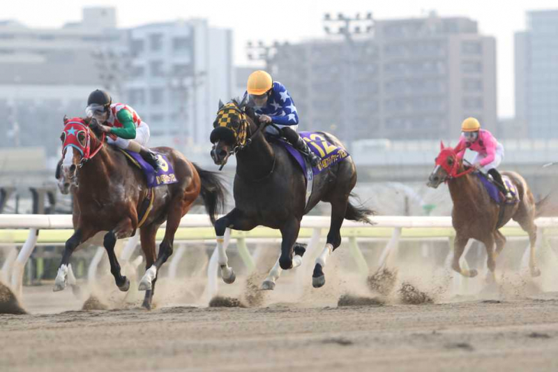 【地方騎手の狙い目・買い時】万馬券を取りたいあなたに...単勝回収率ランキングからの狙い目騎手たち