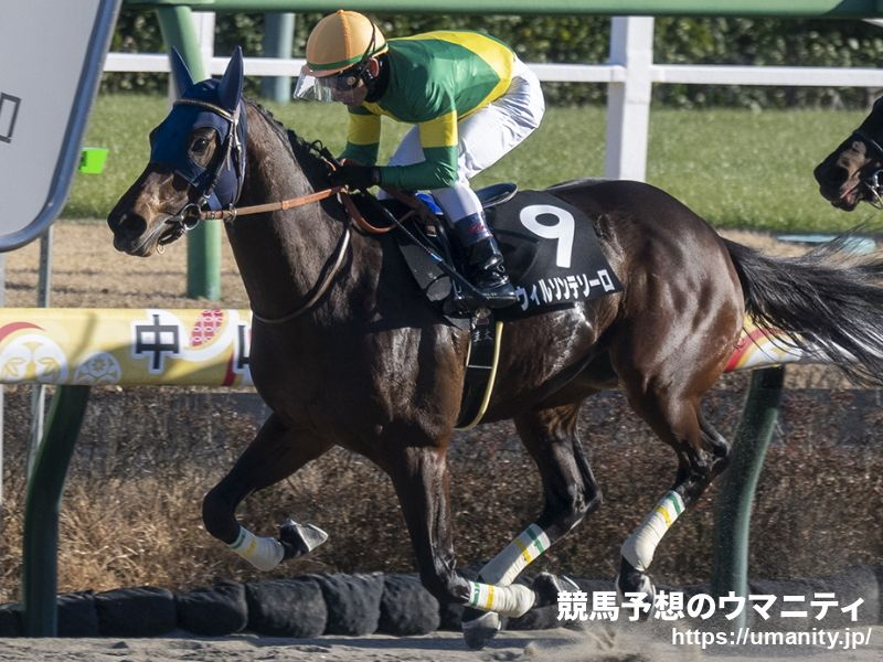 【大井・東京大賞典2024】選定馬（12/16）