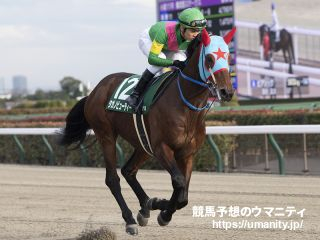 【浦和・さきたま杯2024】地方ランク1位 夢月の選ぶ3頭「前走は負けてなお強し。展開向きそうで人気妙味もある」