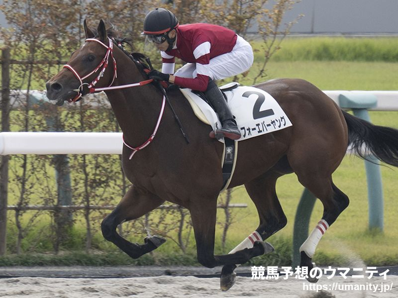 【大井・ジャパンダートクラシック2024】選定馬（9/17）