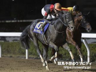 【南関東重賞展望】ダイオライト記念2024　連勝中のディクテオン中心視も、巻き返しを狙う組に要警戒の一戦