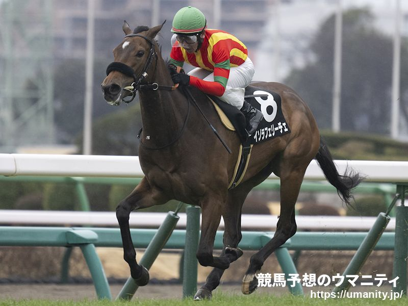 【川崎・関東オークス2024】イゾラフェリーチェは3枠3番、アンデスビエントは6枠6番から発走