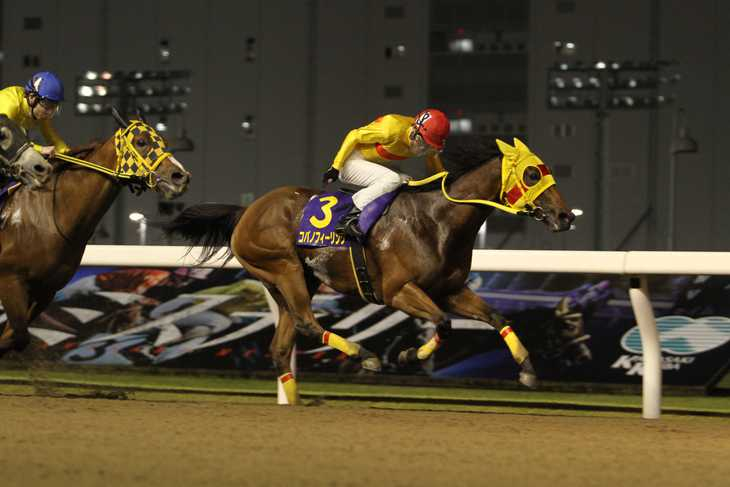 【コース＆馬場状態 傾向と対策】川崎スパーキングスプリント2023　川崎900mに強い種牡馬に注意