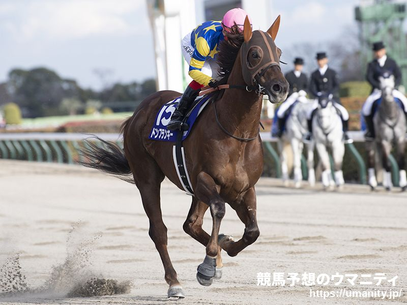 【盛岡・クラスターカップ2024】ドンフランキーは5枠7番、ジレトールは2枠2番からスタート