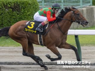 【コース＆馬場状態 傾向と対策】京成盃グランドマイラーズ2024　実力馬ブルベアイリーデが秘めた能力を見せる場面