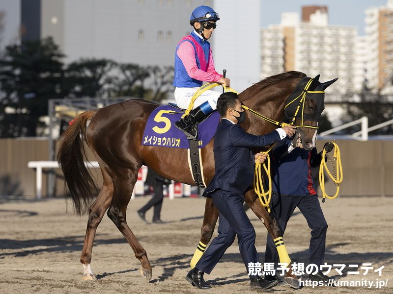 【大井・帝王賞2024】3連覇がかかるメイショウハリオは7枠11番、ノットゥルノは4枠5番から発走