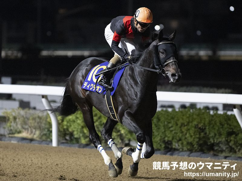 【浦和・浦和記念2024】ディクテオンは7枠8番、ライトウォーリアは8枠10番から発走