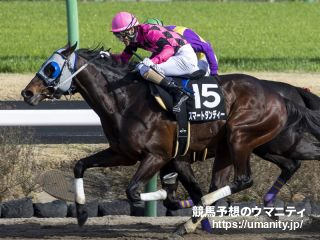 【北海道スプリントカップ】JRA出走予定馬（5/16）