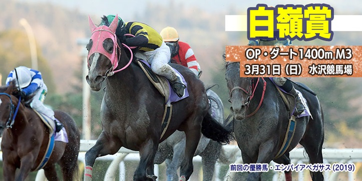 【岩手競馬重賞みどころ】第30回白嶺賞（M3）