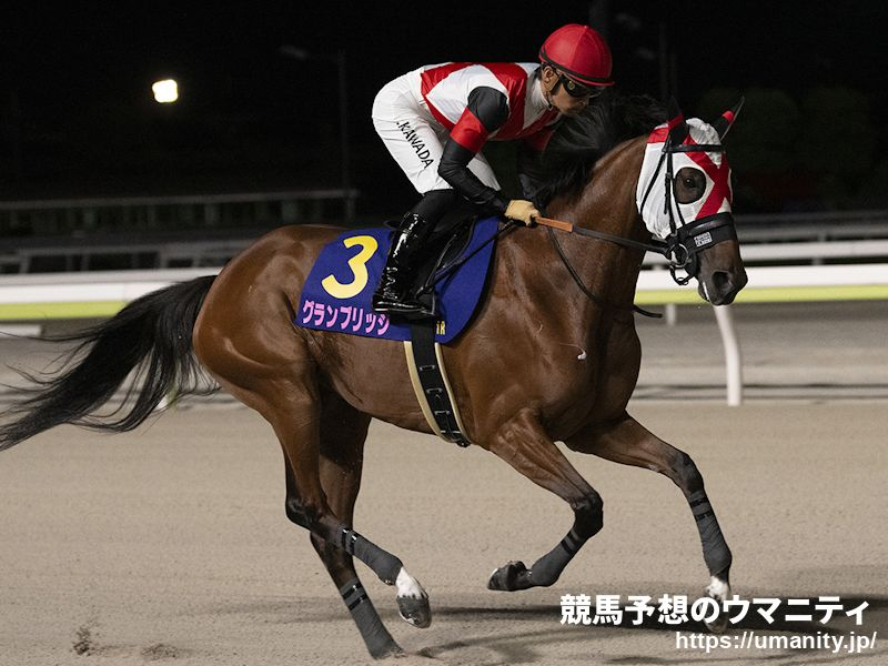 【佐賀・JBCレディスクラシック2024】血統アナリシス　A.P. Indyの直系が6年連続で連対中、ドゥラメンテも2連勝と勢いに乗る