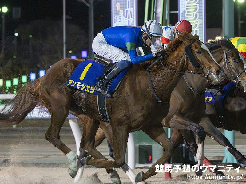 【川崎・関東オークス2024】選定馬（5/27）