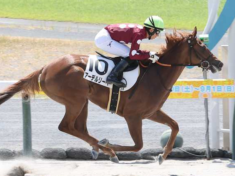 【門別・エーデルワイス賞】選定馬（10/21）