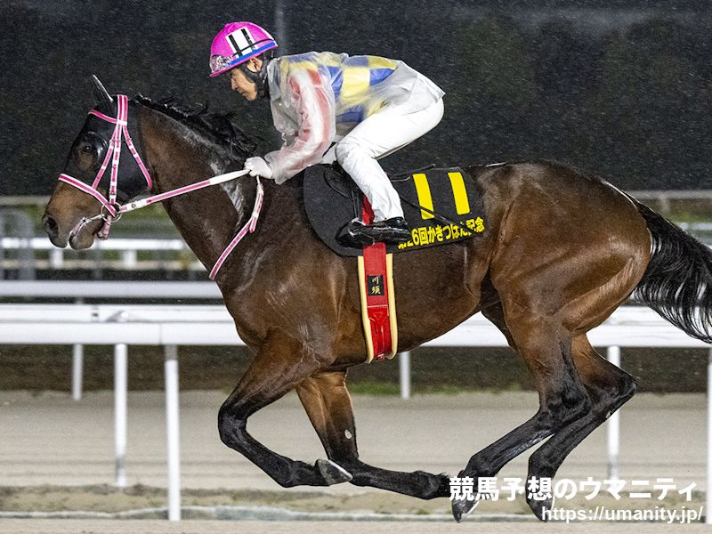 【大井・東京盃2024】選定馬（9/24）