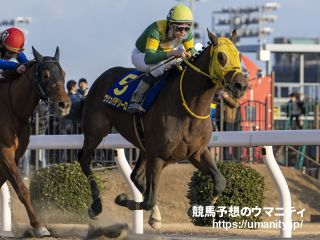 【東京大賞典】JRA出走予定馬（12/11）