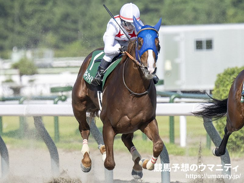 【名古屋・名古屋大賞典2024】ズバリ！調教診断　ウッドで自己ベストを更新のミッキーファイト