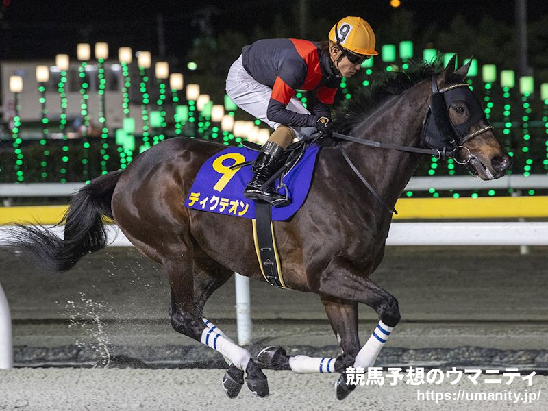 【浦和・浦和記念2024】地方ランク1位 夢月の選ぶ3頭「フロック視するのは危険。コース適性が高く、鞍上も心強い」