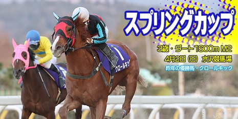 【岩手競馬重賞みどころ】第48回スプリングカップ（M2）