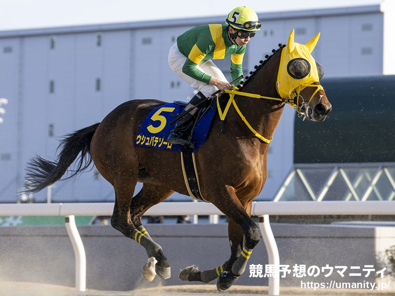 【船橋・日本テレビ盃2024】選定馬（9/16）