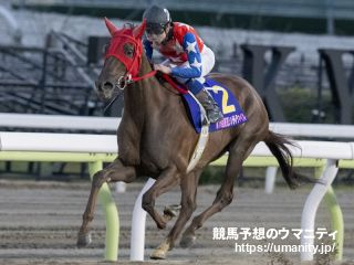 【南関東重賞展望】スパーキングレディーカップ2023　サルサディオーネの後継者となる南関東所属馬は？