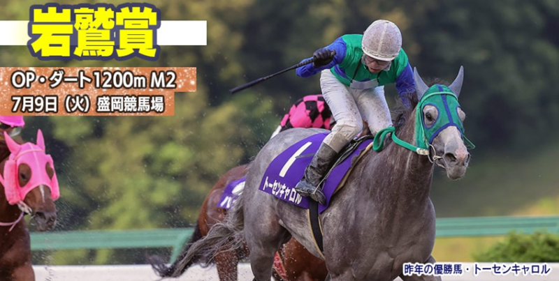 【盛岡・岩鷲賞2024】岩手競馬重賞みどころ