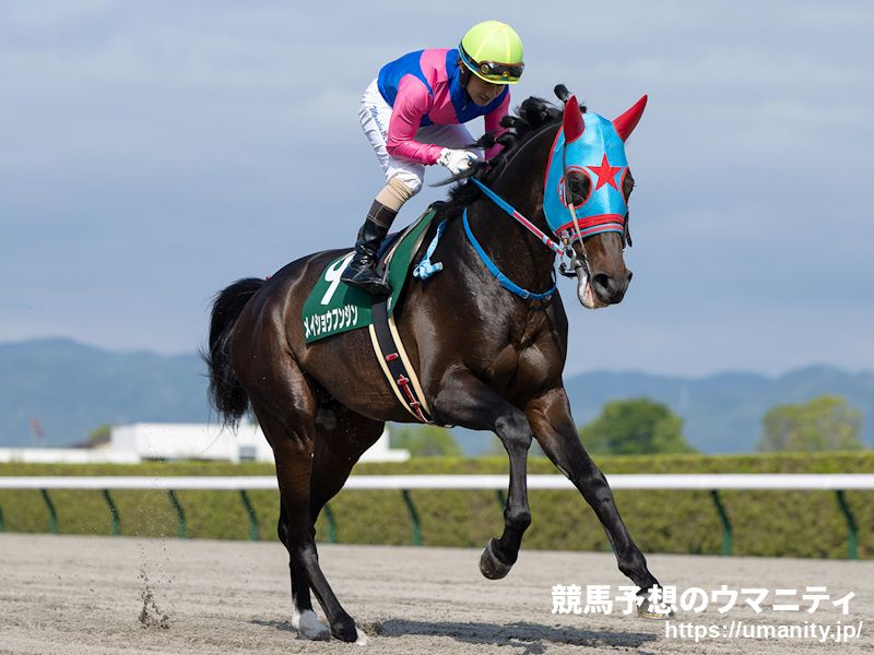 【盛岡・マーキュリーカップ2024】データ分析　5項目で減点がないのはメイショウフンジンのみ