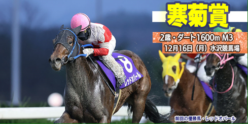 【水沢・寒菊賞2024】岩手競馬重賞みどころ