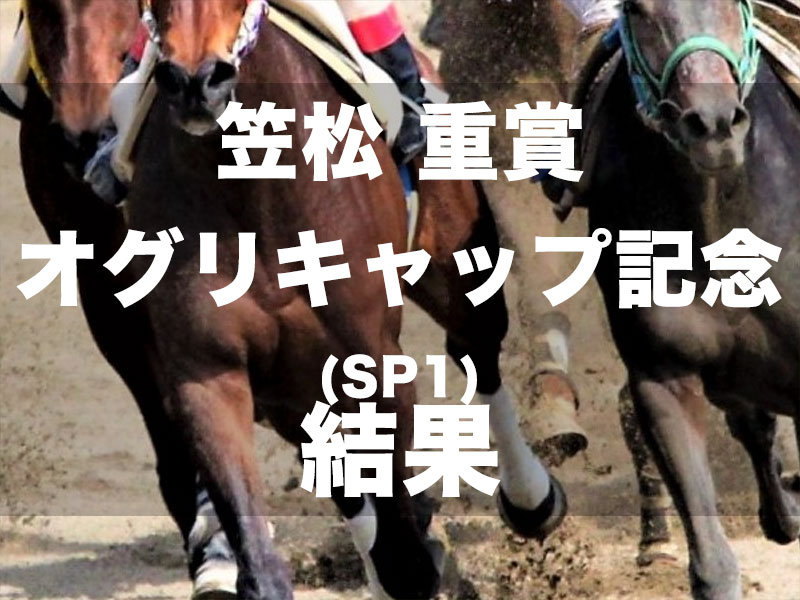 【笠松・オグリキャップ記念2024】2番人気タイガーインディが3頭横並びの激戦制す