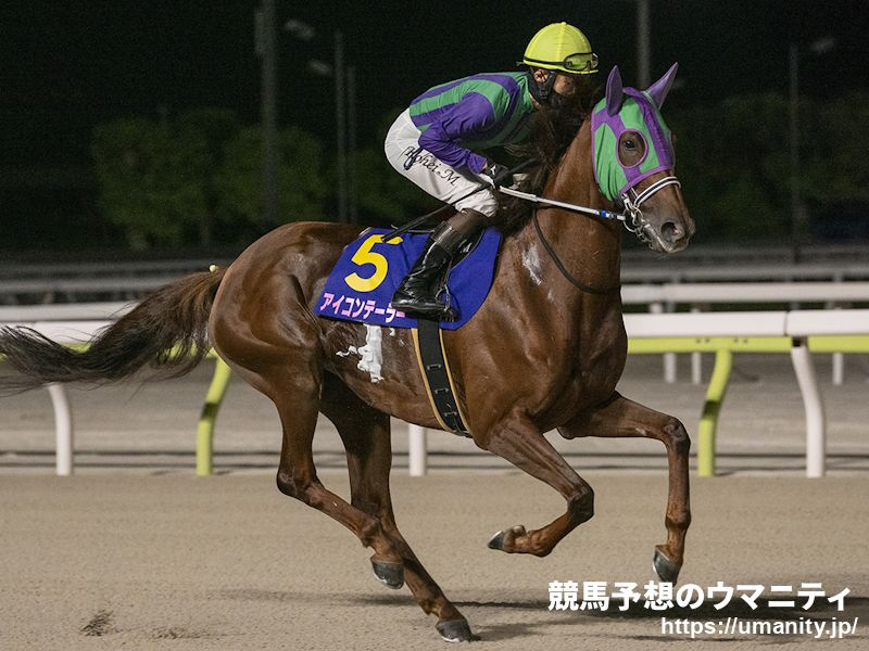 【佐賀・JBCレディスクラシック】出走予定馬（10/31）