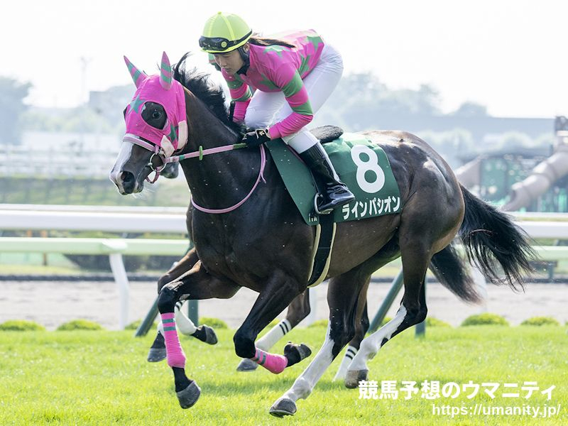 【門別・エーデルワイス賞】選定馬（10/21）