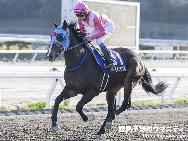 【サマーチャンピオン】JRA出走予定馬（8/24）
