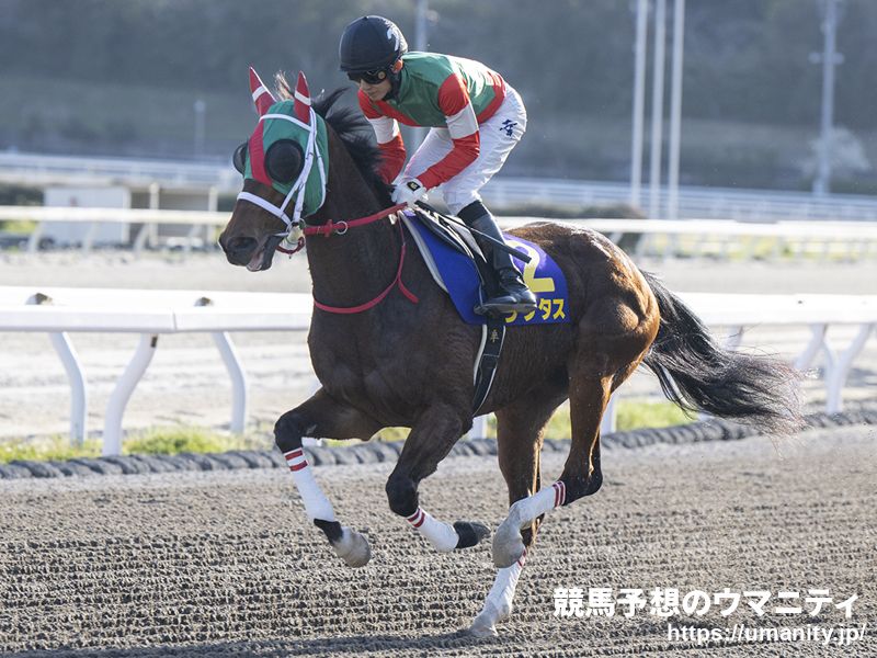 【テレ玉杯オーバルスプリント】JRA出走予定馬（9/12）