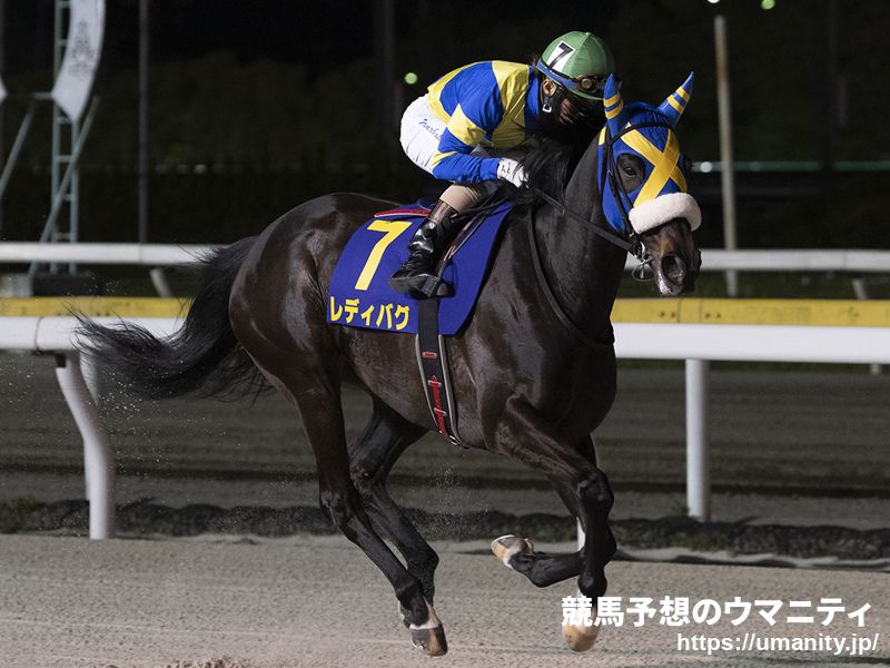 【スパーキングレディーカップ】JRA出走予定馬（6/26）