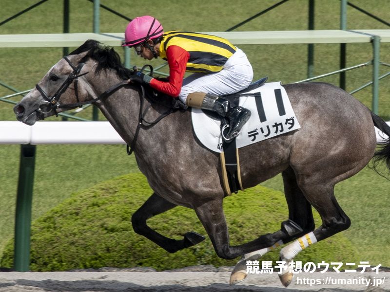 【門別・ブリーダーズゴールドカップ2024】地方ランク1位 夢月の選ぶ3頭「まだ底は見せていない。斤量についても苦にするイメージない」