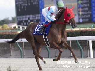 【川崎・スパーキングサマーカップ2024】地方スペシャリスト 斎藤修の選ぶ3頭「一戦一戦を勝ちにくる意気込み」