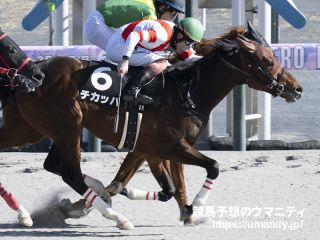 【園田・兵庫チャンピオンシップ2024】コース＆馬場状態 傾向と対策　豪華騎手陣! 園田1400mに強い血統は?