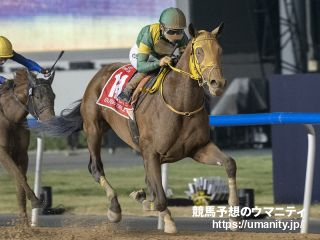 【船橋・日本テレビ盃2024】地方競馬専門家 斎藤修の選ぶ3頭「アクシデントがない限り、勝つ」