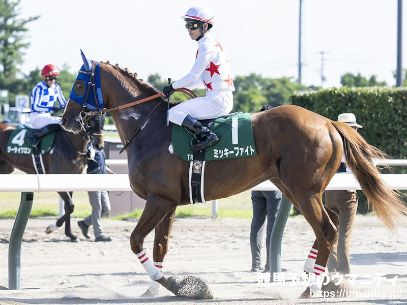 【名古屋・名古屋大賞典2024】地方ランク1位 夢月の選ぶ3頭 「馬格があるタイプで名古屋の砂は合う」