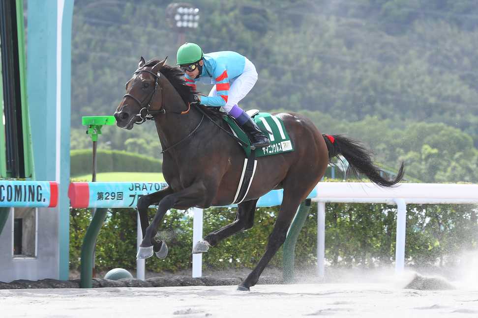 【名古屋大賞典】デビュー5連勝中のヤマニンウルスを信頼