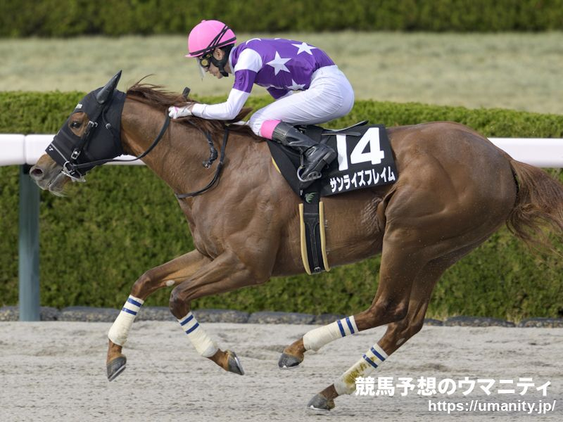 【浦和・テレ玉杯オーバルスプリント2024】選定馬（9/2）